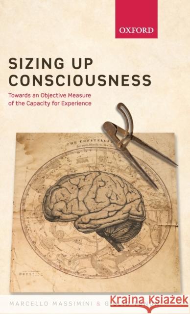 Sizing Up Consciousness: Towards an Objective Measure of the Capacity for Experience Massimini, Marcello 9780198728443 Oxford University Press, USA