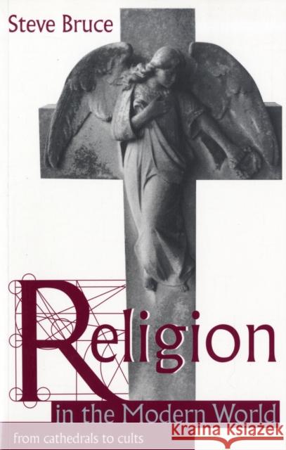 Religion in the Modern World: From Cathedrals to Cults Bruce, Steve 9780198781516