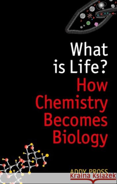 What is Life?: How Chemistry Becomes Biology Addy (Professor of Chemistry, Department of Chemistry, Ben-Gurion University of the Negev) Pross 9780198784791 Oxford University Press