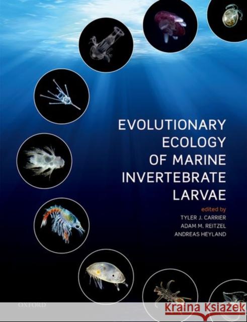 Evolutionary Ecology of Marine Invertebrate Larvae Tyler Carrier Adam Reitzel Andreas Heyland 9780198786962 Oxford University Press, USA