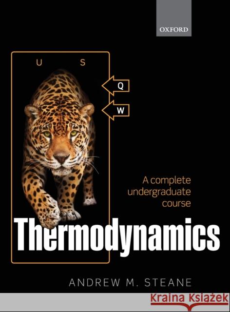 Thermodynamics: A Complete Undergraduate Course Steane, Andrew M. 9780198788560 Oxford University Press, USA
