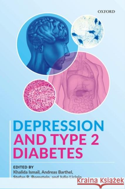 Depression and Type 2 Diabetes Khalida Ismail Andreas Barthel Stefan R. Bornstein 9780198789284 Oxford University Press, USA