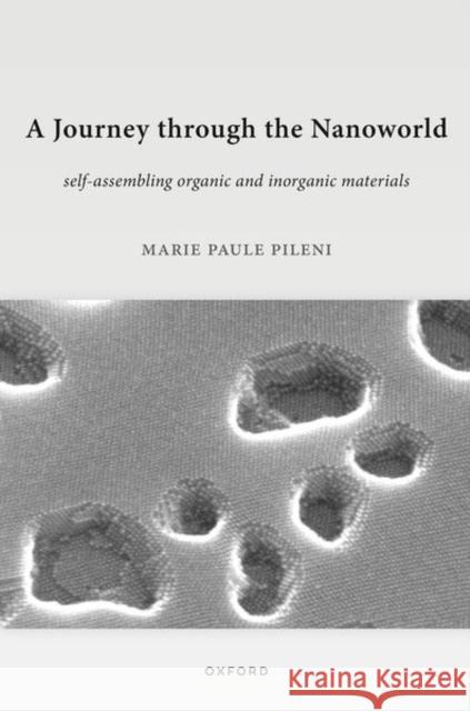 A Journey through the Nanoworld Marie Paule (Professor of Physical Chemistry, Professor of Physical Chemistry, Sorbonne Universite) Pileni 9780198947585 OUP OXFORD