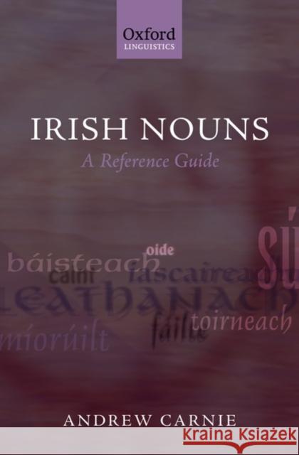 Irish Nouns: A Reference Guide Carnie, Andrew 9780199213757 Oxford University Press, USA
