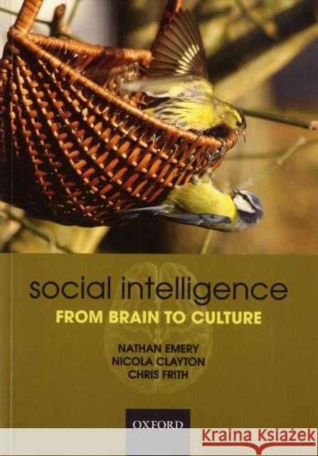 Social Intelligence from Brain to Culture Emery, Nathan 9780199216543 Oxford University Press, USA