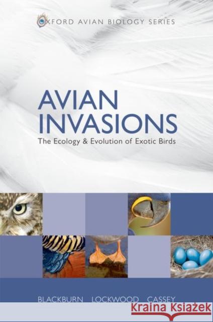 Avian Invasions : The Ecology and Evolution of Exotic Birds Tim Blackburn Julie Lockwood 9780199232543 
