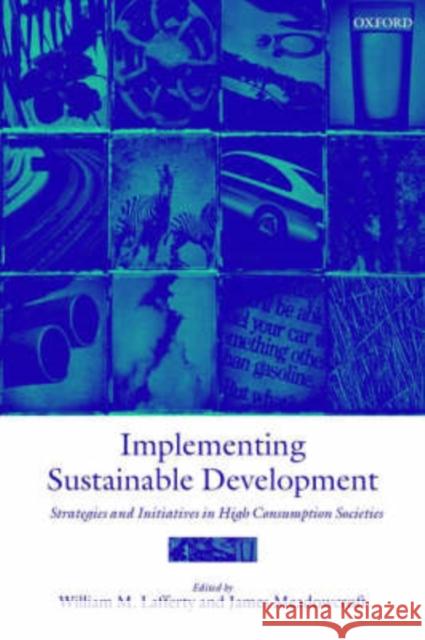 Implementing Sustainable Development: Strategies and Initiatives in High Consumption Societies Lafferty, William M. 9780199242016 Oxford University Press, USA