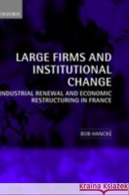 Large Firms and Institutional Change: Industrial Renewal and Economic Restructuring in France Hancké, Bob 9780199252053 Oxford University Press