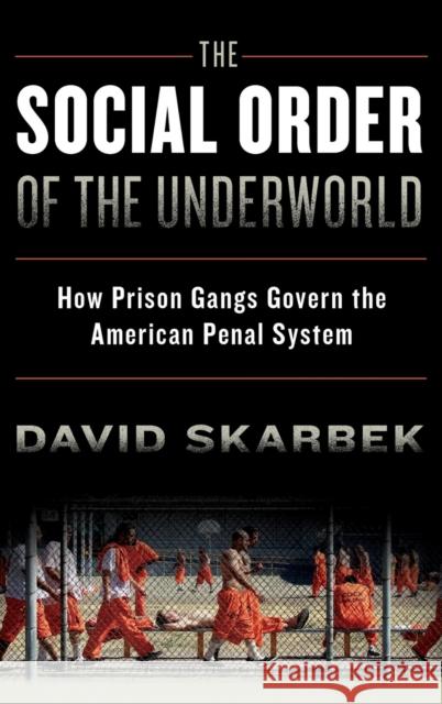 The Social Order of the Underworld Skarbek 9780199328499 Oxford University Press, USA