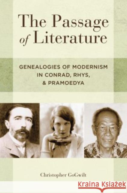 The Passage of Literature: Genealogies of Modernism in Conrad, Rhys, and Pramoedya Gogwilt, Christopher 9780199330133 Oxford University Press, USA