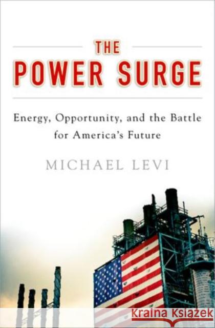 The Power Surge: Energy, Opportunity, and the Battle for America's Future Levi, Michael 9780199390021
