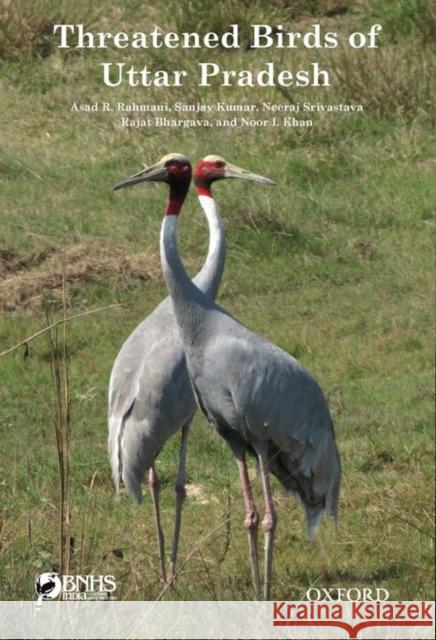 Threatened Birds of Uttar Pradesh Asad R. Rahmani Sanjay Kumar Neeraj Srivasrav 9780199455249 Oxford University Press, USA