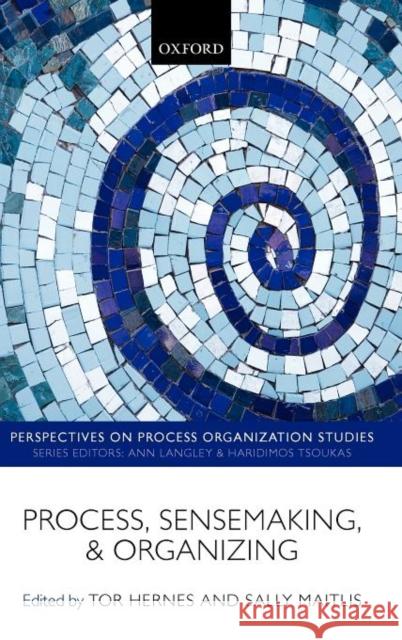 Process, Sensemaking, and Organizing Tor Hernes Sally Maitlis 9780199594566 Oxford University Press, USA