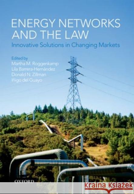 Energy Networks and the Law: Innovative Solutions in Changing Markets Roggenkamp, Martha M. 9780199645039 Oxford University Press, USA