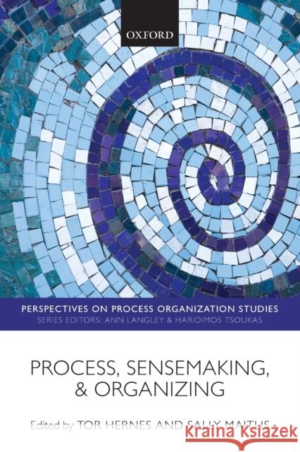 Process, Sensemaking, and Organizing Tor Hernes Sally Maitlis 9780199655564 Oxford University Press, USA