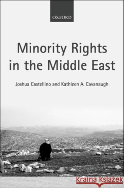 Minority Rights in the Middle East Castellino, Joshua|||Cavanaugh, Kathleen A. 9780199679492