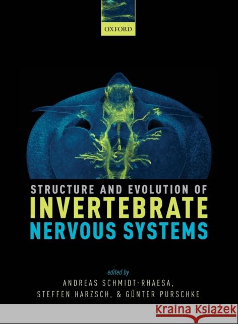 Structure and Evolution of Invertebrate Nervous Systems Andreas Schmidt-Rhaesa Steffen Harzsch Gunter Purschke 9780199682201