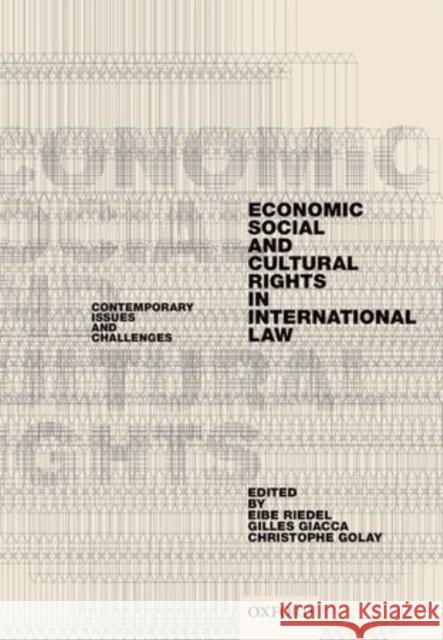 Economic, Social, and Cultural Rights in International Law: Contemporary Issues and Challenges Riedel, Eibe 9780199685974 Oxford University Press, USA