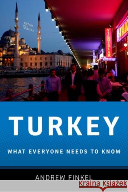 Turkey: What Everyone Needs to Know(r) Finkel, Andrew 9780199733057