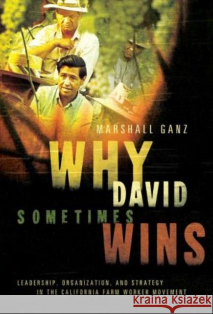 Why David Sometimes Wins: Leadership, Organization, and Strategy in the California Farm Worker Movement Ganz, Marshall 9780199757855 Oxford University Press, USA