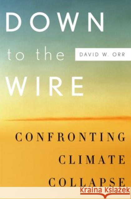 Down to the Wire: Confronting Climate Collapse Orr, David W. 9780199829361 Oxford University Press, USA