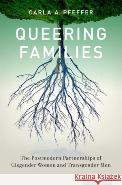 Queering Families: The Postmodern Partnerships of Cisgender Women and Transgender Men Carla A. Pfeffer 9780199908059 Oxford University Press, USA