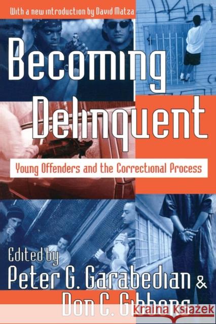 Becoming Delinquent: Young Offenders and the Correctional Process Garabedian, Peter G. 9780202307954