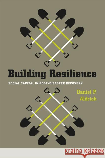 Building Resilience: Social Capital in Post-Disaster Recovery Aldrich, Daniel P. 9780226012889