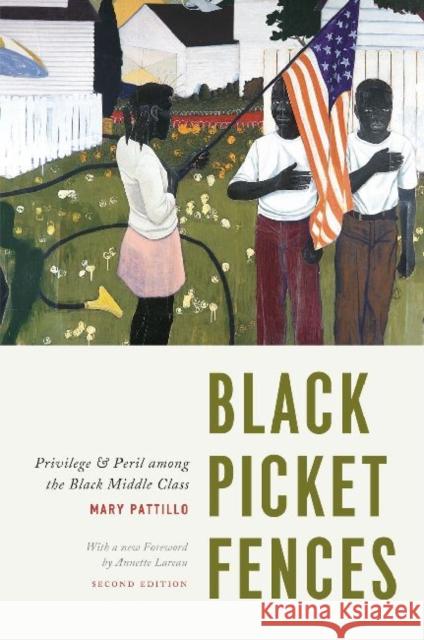 Black Picket Fences, Second Edition: Privilege and Peril Among the Black Middle Class Pattillo, Mary 9780226021195 University of Chicago Press