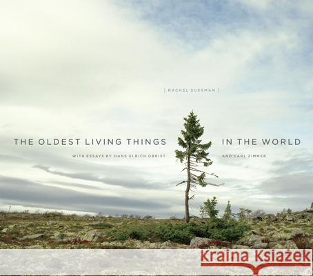 The Oldest Living Things in the World Rachel Sussman Carl Zimmer Hans Ulrich Obrist 9780226057507 University of Chicago Press