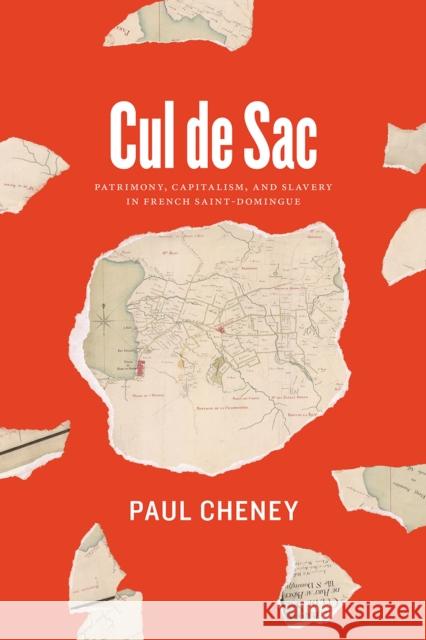 Cul de Sac: Patrimony, Capitalism, and Slavery in French Saint-Domingue Paul Cheney 9780226079356