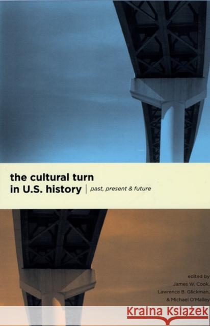 The Cultural Turn in U. S. History: Past, Present, and Future Cook, James W. 9780226115078 University of Chicago Press