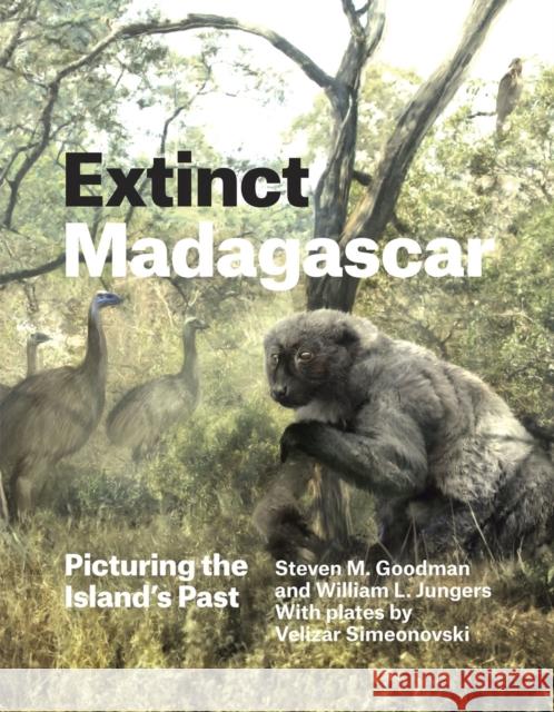 Extinct Madagascar: Picturing the Island's Past Steven M. Goodman William L. Jungers Velizar Simeonovski 9780226143972 University of Chicago Press
