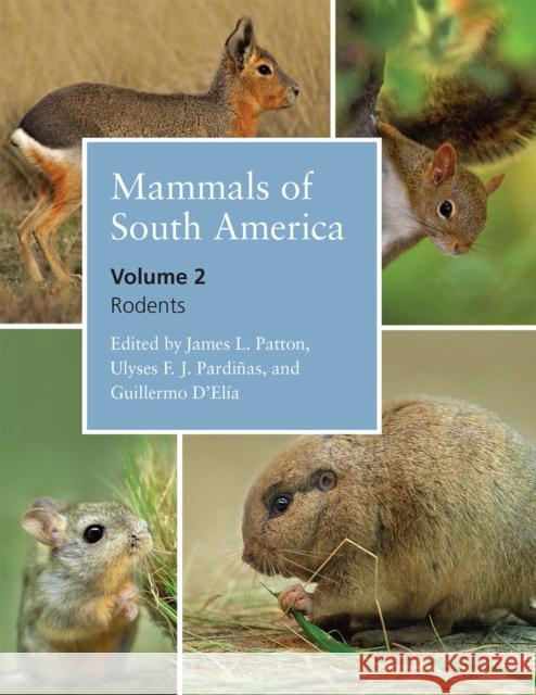 Mammals of South America, Volume 2: Rodents James L. Patton Ulyses F. J. Pardinas Guillermo D'Elia 9780226169576