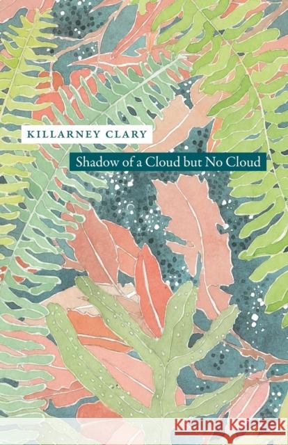 Shadow of a Cloud But No Cloud Killarney Clary 9780226177984 University of Chicago Press