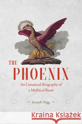 The Phoenix: An Unnatural Biography of a Mythical Beast Nigg, Joseph 9780226195490 University of Chicago Press
