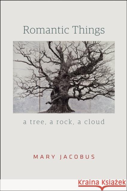 Romantic Things: A Tree, a Rock, a Cloud Mary Jacobus 9780226271347 University of Chicago Press