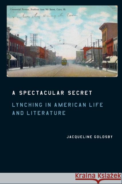 A Spectacular Secret: Lynching in American Life and Literature Goldsby, Jacqueline 9780226301389 University of Chicago Press