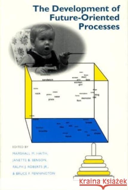 The Development of Future-Oriented Processes Haith                                    Marshall M. Haith Janette B. Benson 9780226313061 University of Chicago Press