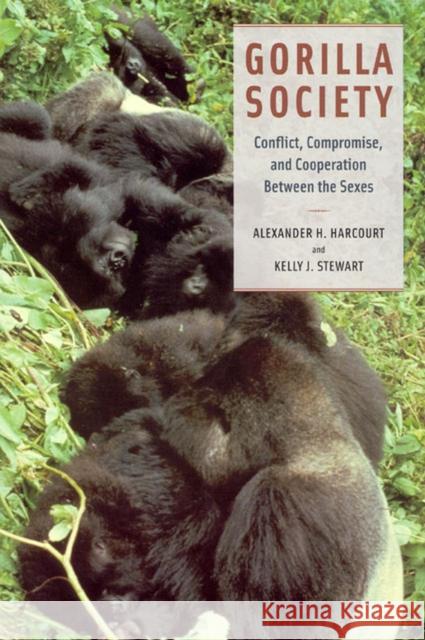 Gorilla Society : Conflict, Compromise, and Cooperation Between the Sexes Alexander H. Harcourt Kelly J. Stewart 9780226316031 University of Chicago Press