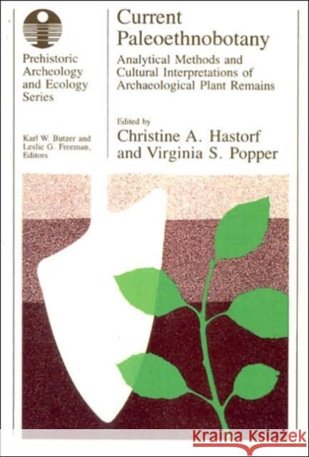 Current Paleoethnobotany: Analytical Methods and Cultural Interpretations of Archaeological Plant Remains Hastorf, Christine A. 9780226318936