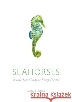 Seahorses: A Life-Size Guide to Every Species Sara Lourie 9780226338415 University of Chicago Press