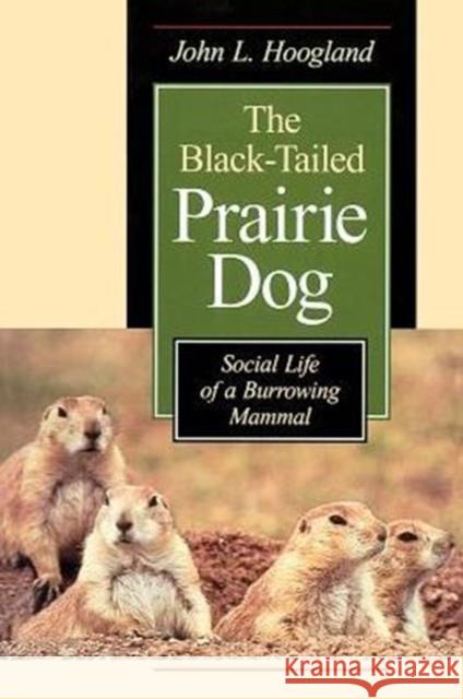 The Black-Tailed Prairie Dog: Social Life of a Burrowing Mammal Hoogland, John L. 9780226351186 University of Chicago Press