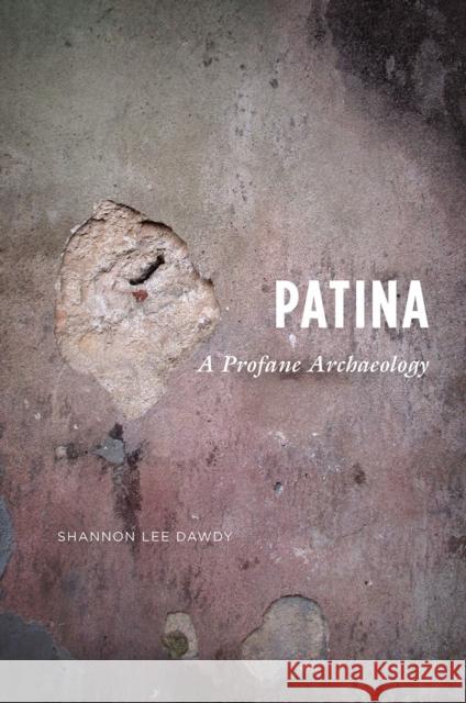 Patina: A Profane Archaeology Shannon Lee Dawdy 9780226351193