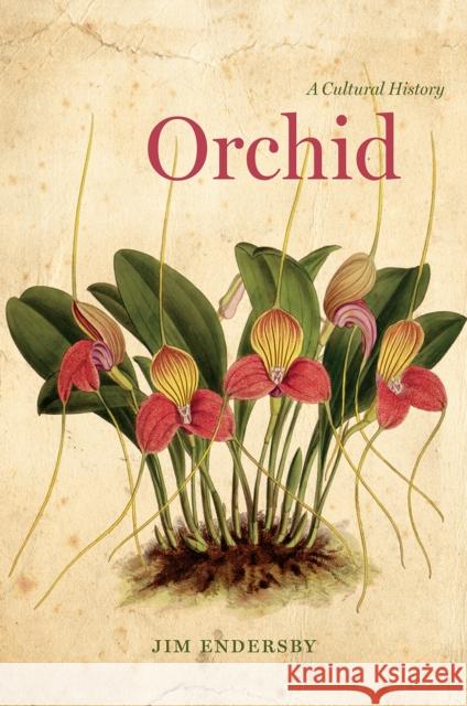 Orchid: A Cultural History Jim Endersby 9780226376325 University of Chicago Press