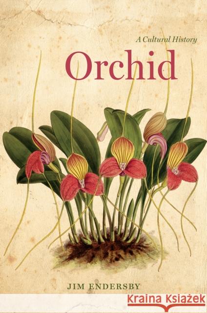 Orchid: A Cultural History Jim Endersby 9780226376325