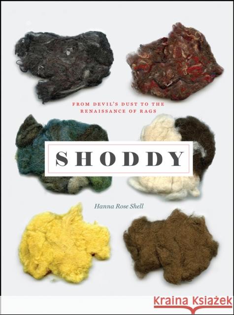 Shoddy: From Devil's Dust to the Renaissance of Rags Hanna Rose Shell 9780226377759 University of Chicago Press