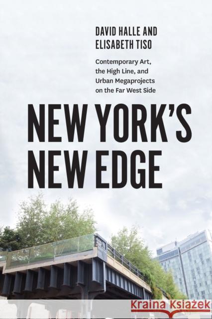 New York's New Edge: Contemporary Art, the High Line, and Urban Megaprojects on the Far West Side David Halle Elisabeth Tiso 9780226379067 University of Chicago Press