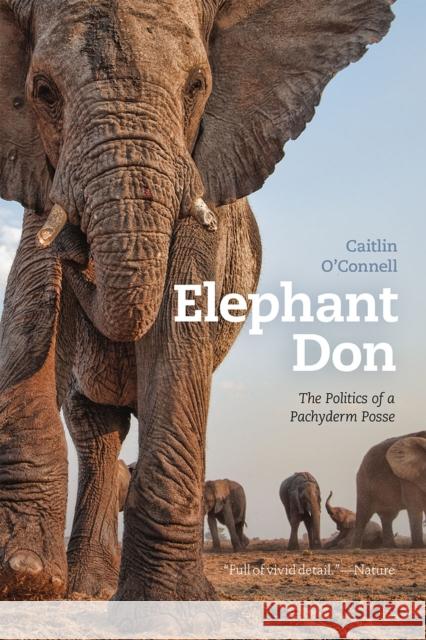 Elephant Don: The Politics of a Pachyderm Posse Caitlin O'Connell 9780226380056 University of Chicago Press