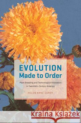 Evolution Made to Order: Plant Breeding and Technological Innovation in Twentieth-Century America Helen Anne Curry 9780226390086 University of Chicago Press